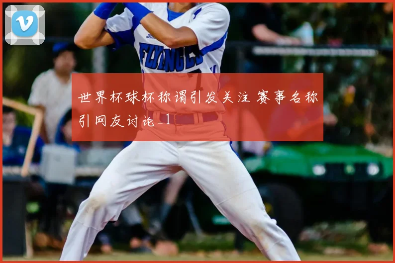 世界杯球杯称谓引发关注 赛事名称引网友讨论_1