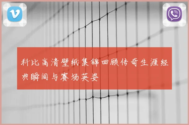 科比高清壁纸集锦回顾传奇生涯经典瞬间与赛场英姿