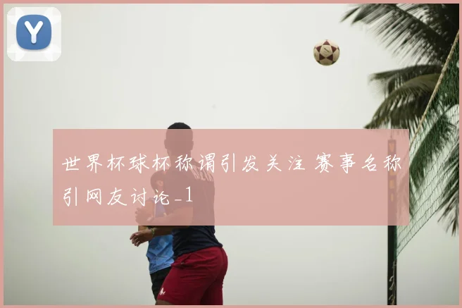 世界杯球杯称谓引发关注 赛事名称引网友讨论_1
